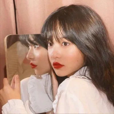 方案